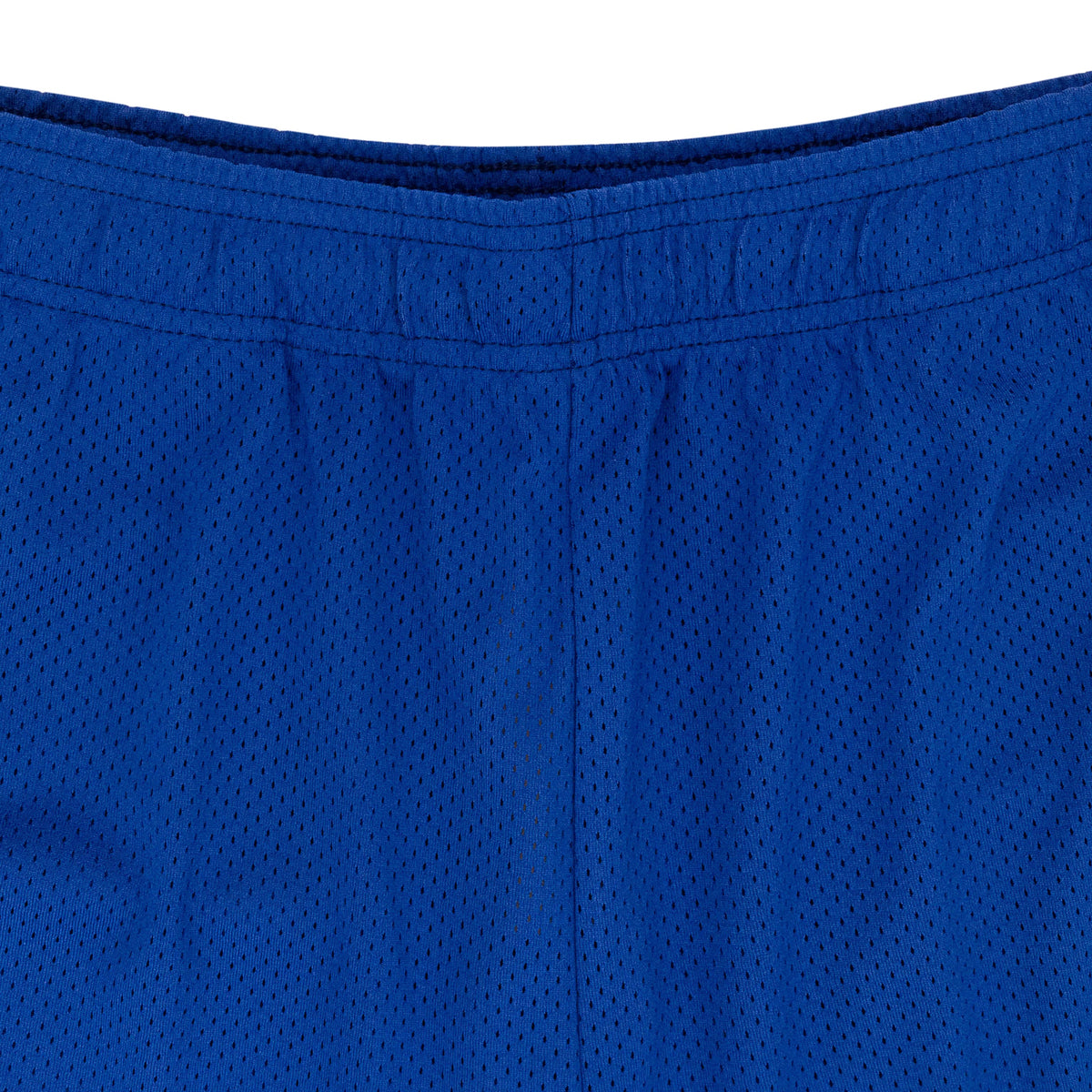 BAT REAPER MESH PURPLE SHORTS