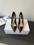 Dior Pointed High-Heel Pumps – 25SS Spring/Summer Collection